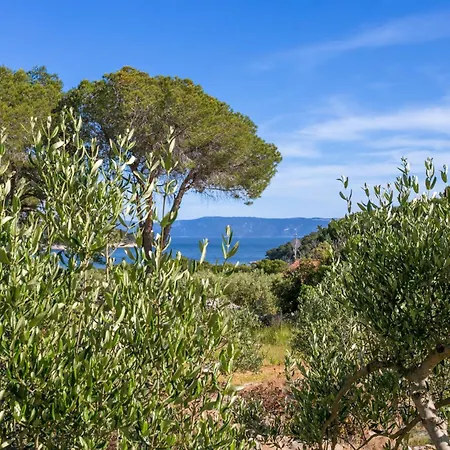 Lejlighed With Parking Space Cove Smrceva, Brac - 20193 *