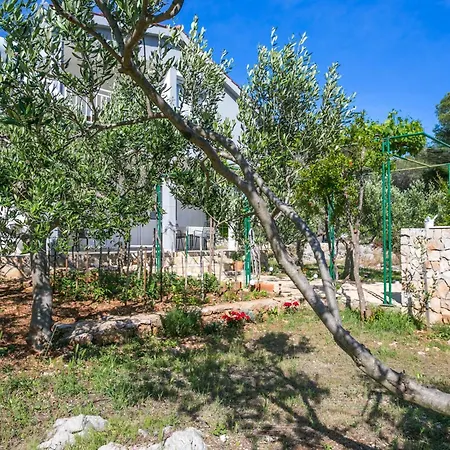 Apartment With A Parking Space Cove Smrceva, Brac - 20193